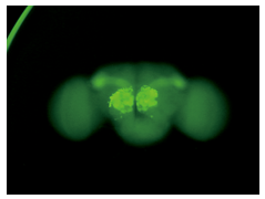 70a8829de20e1142cdb2a001fbecec2c_20200206133507_26559.png 70a8829de20e1142cdb2a001fbecec2c_20200206133507_26559.png