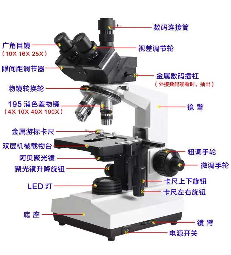 38736b44c0bbdad4983bc9c74dc15a66_20200303113708_19242.jpg 38736b44c0bbdad4983bc9c74dc15a66_20200303113708_19242.jpg