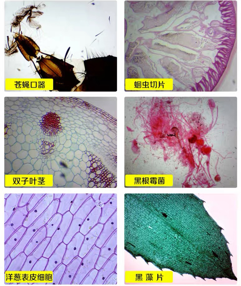85652bab8cf5c6d68092e9e118c1b488_20200303113710_92416.jpg 85652bab8cf5c6d68092e9e118c1b488_20200303113710_92416.jpg