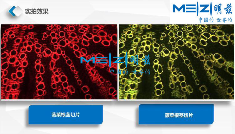 51640615fd790138a214fea5e3d36b31_20200210140634_50317.jpg 51640615fd790138a214fea5e3d36b31_20200210140634_50317.jpg