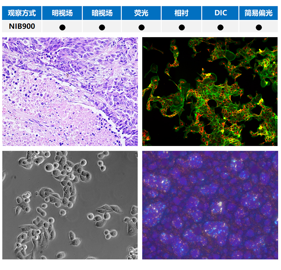 6c4acde6bc5e29688fd65be8d1206fc2_20200211132442_46114.jpg 6c4acde6bc5e29688fd65be8d1206fc2_20200211132442_46114.jpg