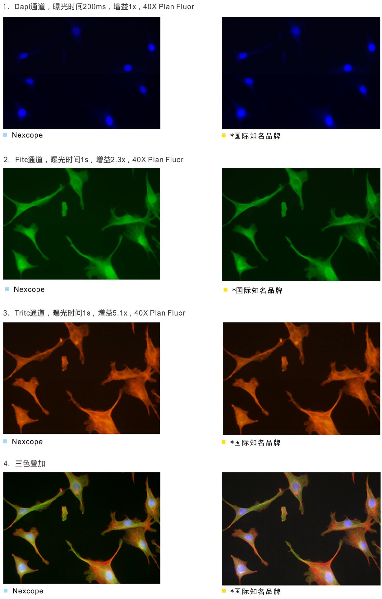 8b0d2df377c126f8f88a03ceed54bec1_20200211154358_72160.jpg 8b0d2df377c126f8f88a03ceed54bec1_20200211154358_72160.jpg