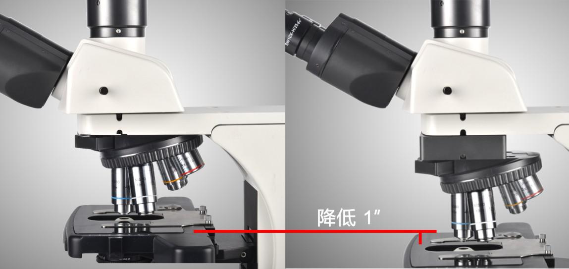 f9f715f2f9b1d9d326a85a951d41ae3a_20200211121410_24224.jpg f9f715f2f9b1d9d326a85a951d41ae3a_20200211121410_24224.jpg