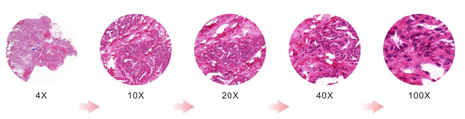 a27e1a47f105930e7af335a7dd719e87_20200211121538_78126.jpg a27e1a47f105930e7af335a7dd719e87_20200211121538_78126.jpg