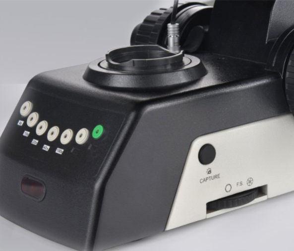 c6ba20b1f4ad532a20dd066054193751_20200211121650_95297.png c6ba20b1f4ad532a20dd066054193751_20200211121650_95297.png