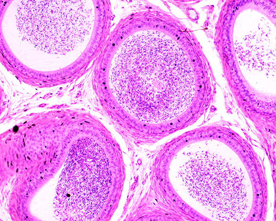 68c42344965eac4b20c67a6611cb6777_20200211121849_81004.jpg 68c42344965eac4b20c67a6611cb6777_20200211121849_81004.jpg