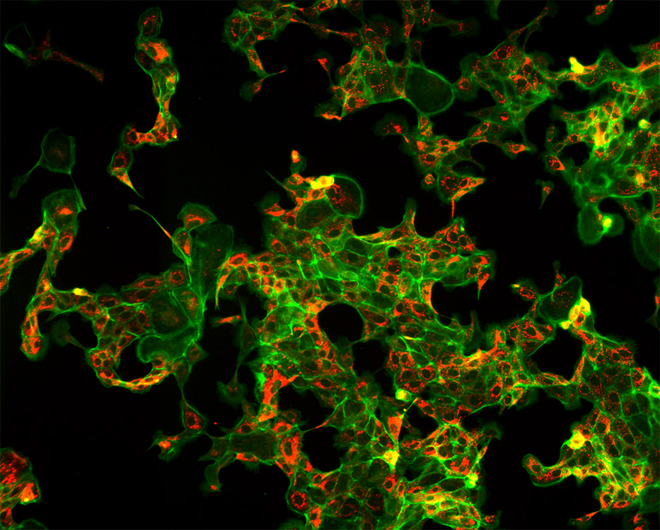 7a270ca92eae37c00101e16df1776308_20200211121930_84506.jpg 7a270ca92eae37c00101e16df1776308_20200211121930_84506.jpg