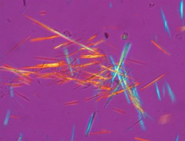 d84175ec4b5f162264a2495f28254ea6_20200211122635_47180.png d84175ec4b5f162264a2495f28254ea6_20200211122635_47180.png