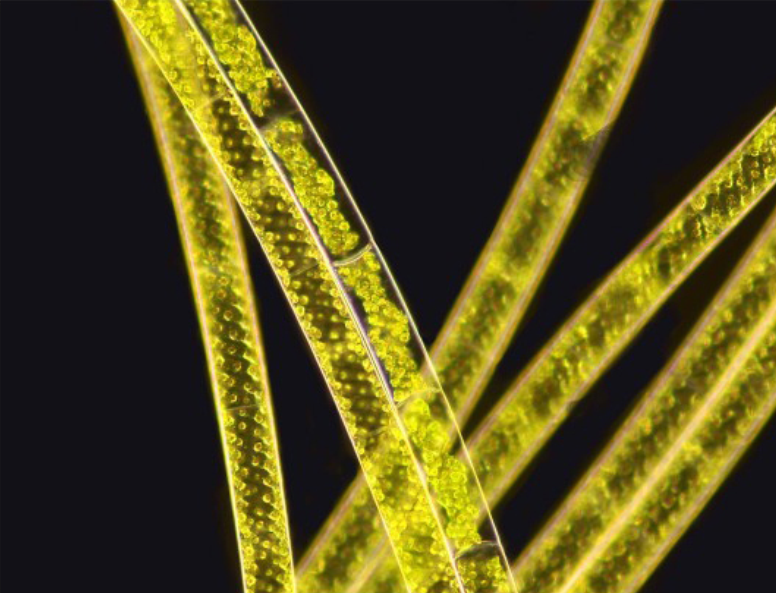 9ba22e67e9565757b4c8318ea5e357e5_20200211122757_95358.png 9ba22e67e9565757b4c8318ea5e357e5_20200211122757_95358.png