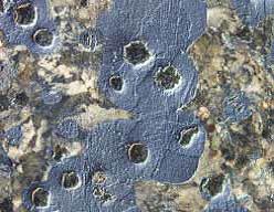 c16b113cfe854d8225bdab369ef6c0d6_20200221224118_10878.jpg c16b113cfe854d8225bdab369ef6c0d6_20200221224118_10878.jpg