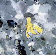 aefe091880b4f73386a578f7cd9b4e00_20200221224117_61001.jpg aefe091880b4f73386a578f7cd9b4e00_20200221224117_61001.jpg