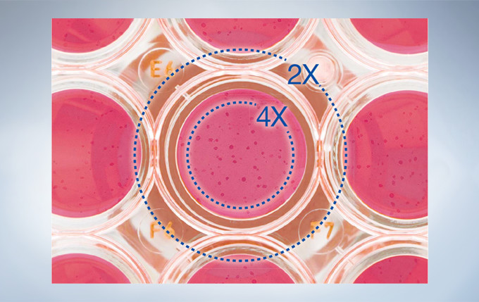 9fb899ca8cf8b199024f1d8aba7ff9d0_20200221211845_67895.jpg 9fb899ca8cf8b199024f1d8aba7ff9d0_20200221211845_67895.jpg