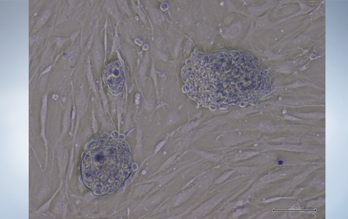 d3912a2cacecb3c917f994a4520fe3ba_20200221211656_35106.jpg d3912a2cacecb3c917f994a4520fe3ba_20200221211656_35106.jpg