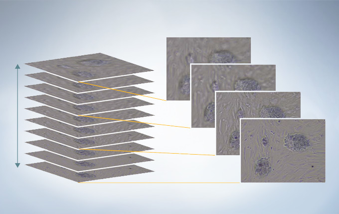 04f0a29604a50e61de7bc0ebf23ed070_20200221211656_85462.jpg 04f0a29604a50e61de7bc0ebf23ed070_20200221211656_85462.jpg