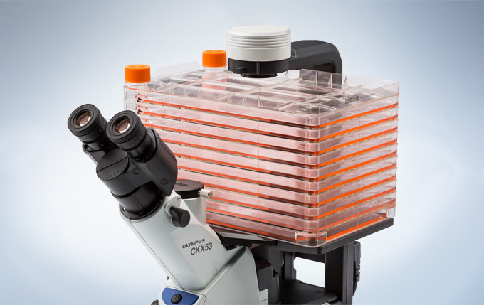 edb161882c508c7d48eca4a17c6ed0e1_20200221212533_44961.jpg edb161882c508c7d48eca4a17c6ed0e1_20200221212533_44961.jpg