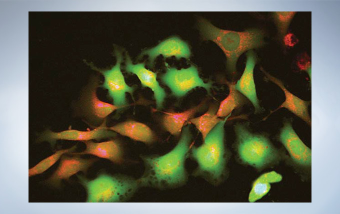 8357c96712e1690455a828afa357e1cd_20200221211654_81372.jpg 8357c96712e1690455a828afa357e1cd_20200221211654_81372.jpg