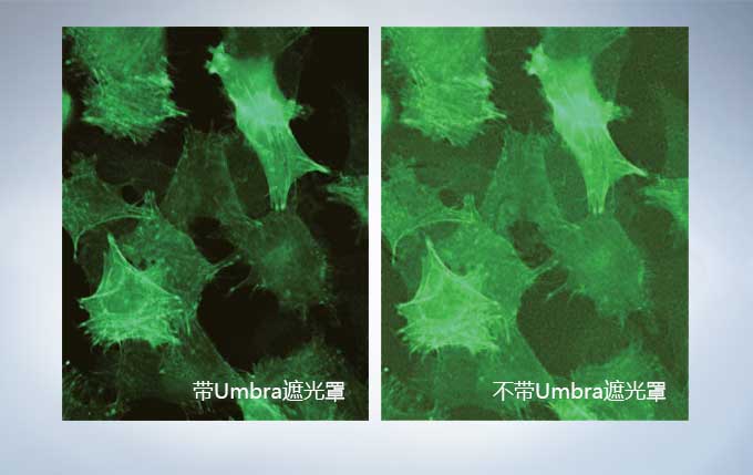 bea56d80ac896a421a639e0b14c7e0b5_20200221211656_90104.jpg bea56d80ac896a421a639e0b14c7e0b5_20200221211656_90104.jpg