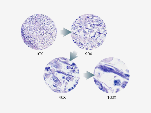 d29db0374813cf271b2961b1a7fb4d06_20200221171458_15910.jpg d29db0374813cf271b2961b1a7fb4d06_20200221171458_15910.jpg