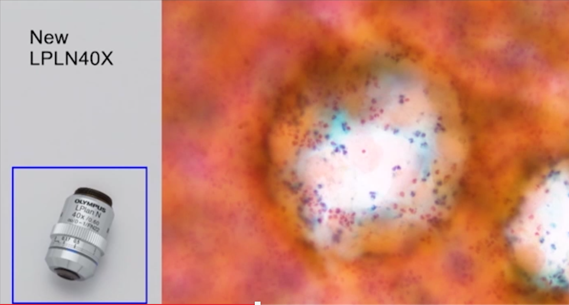 8cee44f488b145c6508e9ff74a6b22b9_20200221172304_30033.png 8cee44f488b145c6508e9ff74a6b22b9_20200221172304_30033.png