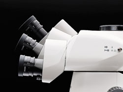 e7b25774b6ef8a02acab27fd76b43282_20200213151639_86599.jpg e7b25774b6ef8a02acab27fd76b43282_20200213151639_86599.jpg