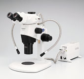 bf77713c032211b5927198952a1d5eb9_20200213150821_59367.jpg bf77713c032211b5927198952a1d5eb9_20200213150821_59367.jpg