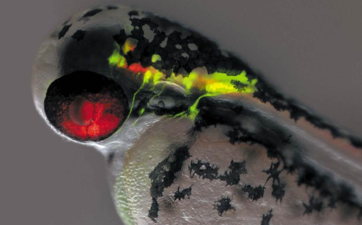 b12fe27455d48077dea4ce756087b505_20200214134519_84432.jpg b12fe27455d48077dea4ce756087b505_20200214134519_84432.jpg