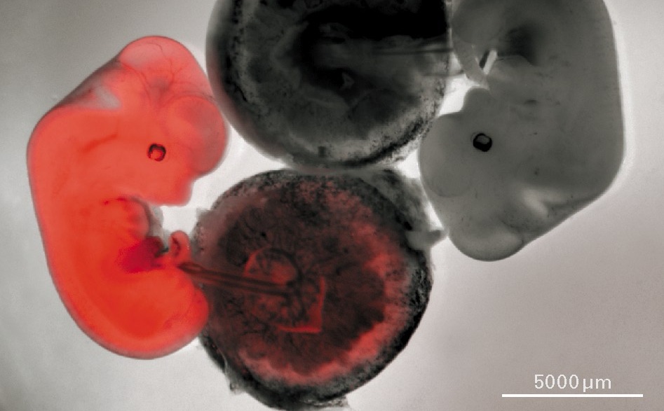 4505e4730bc641954368fa6484658102_20200214134539_47164.jpg 4505e4730bc641954368fa6484658102_20200214134539_47164.jpg