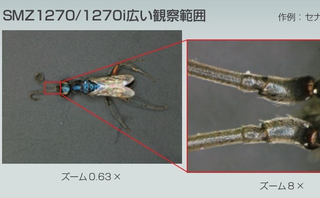 609fac3b93d10be6d1b6ed8531e53142_20200214133125_82018.jpg 609fac3b93d10be6d1b6ed8531e53142_20200214133125_82018.jpg