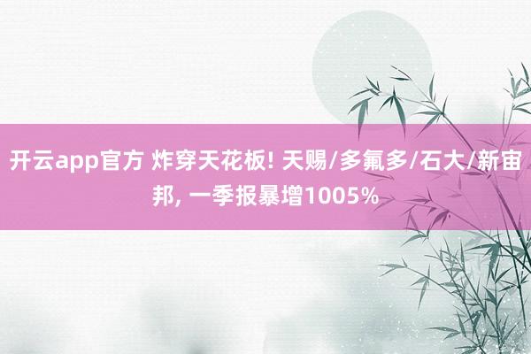 开云app官方 炸穿天花板! 天赐/多氟多/石大/新宙邦, 一季报暴增1005%