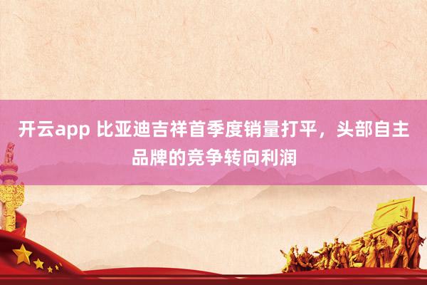 开云app 比亚迪吉祥首季度销量打平，头部自主品牌的竞争转向利润