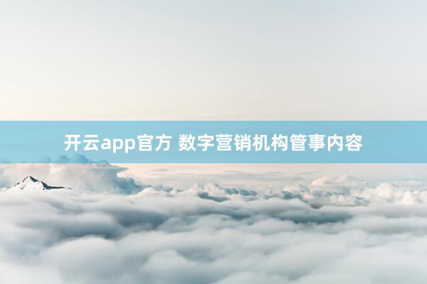 开云app官方 数字营销机构管事内容