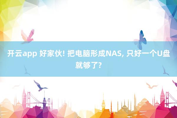 开云app 好家伙! 把电脑形成NAS, 只好一个U盘就够了?