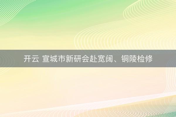 开云 宣城市新研会赴宽阔、铜陵检修